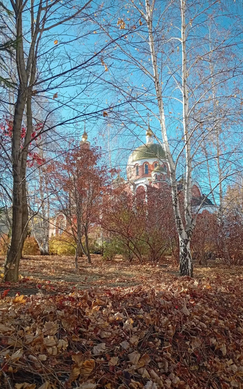 10 28 2026dynmod 905